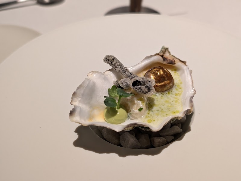 Glasswing Restaurant by Alexandru Simon